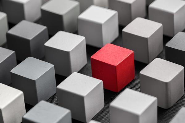 林囗县人力资源和社会保障局：项目融资领域的角色与影响 图1