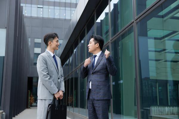 公务员工资担保的法律保护问题解析与项目融资风险管理 图1
