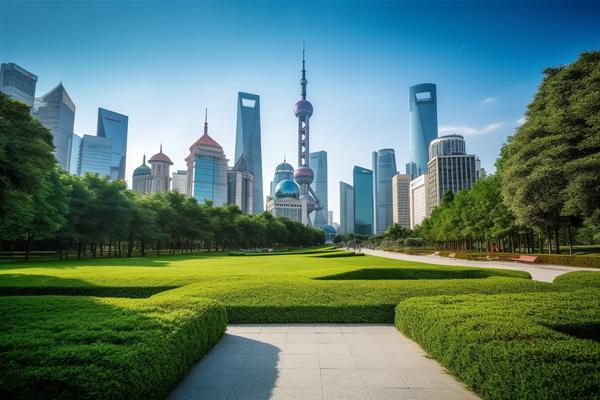 聊城城市品牌建设的项目融资策略与实践路径 图2