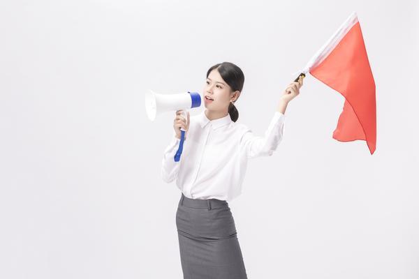 面试品牌案例分析题目：项目融资与企业贷款行业中的关键考量 图1