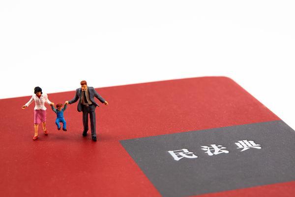 执行局下传票给担保人的法律程序与项目融资风险管理 图1