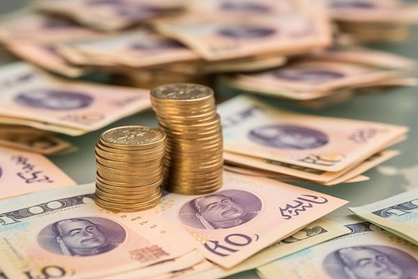 私募基金金融资来源探究：多元化融资方式与风险管理策略图1