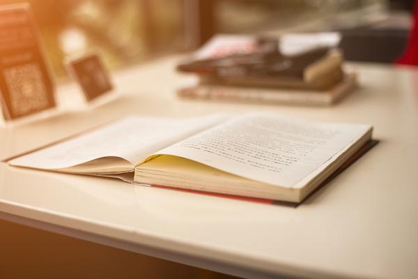 人力资源供给不足的解决办法|项目融资领域的创新路径 图2