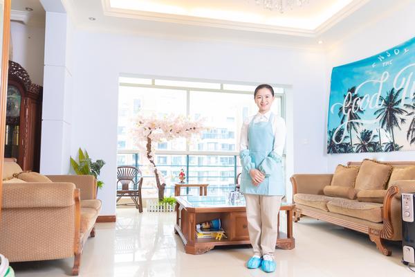 家政劳务品牌建设与推广的创新路径及融资策略研究 图2