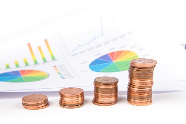 项目融资中的征信困境|贷款审批失败的信用风险分析 图2