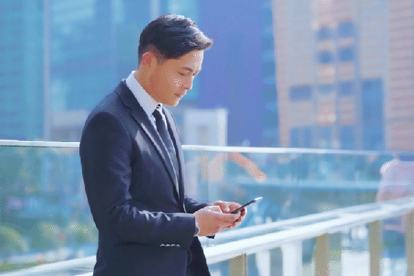 京东白条诈骗案件解析与项目融资领域的法律风险管理 图2
