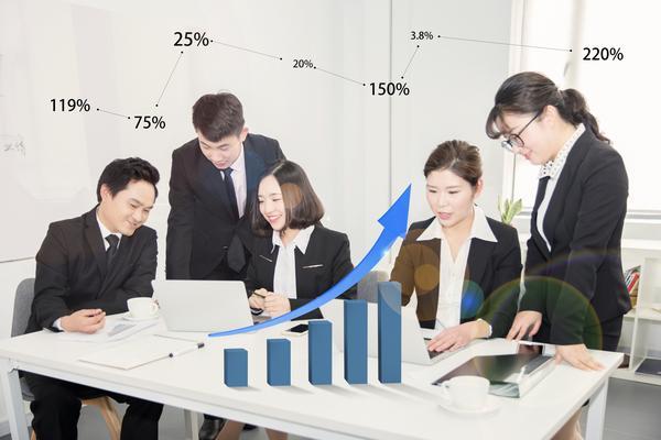 平台融资方案分析模板下载