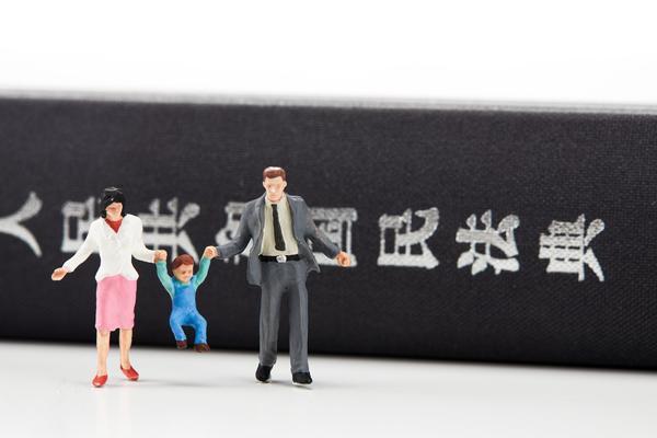 邹平债券融资|创新融资模式与项目风险管理探讨 图1