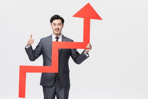 阳光私募基金-项目融资创新与盈利能力深度解析 图2