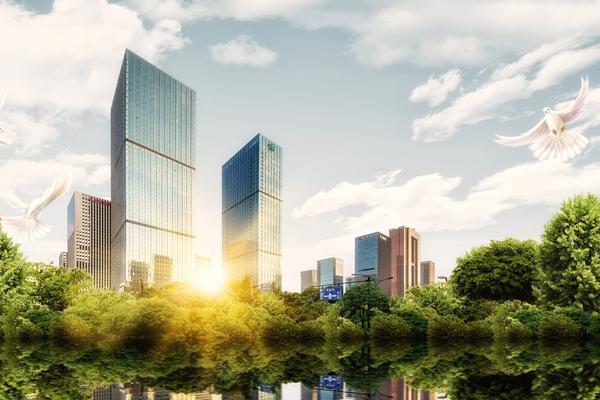 宝洁企业融资案例分析