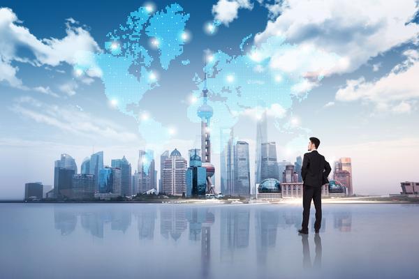 全蝎市场需求分析及项目融资策略研究 图2