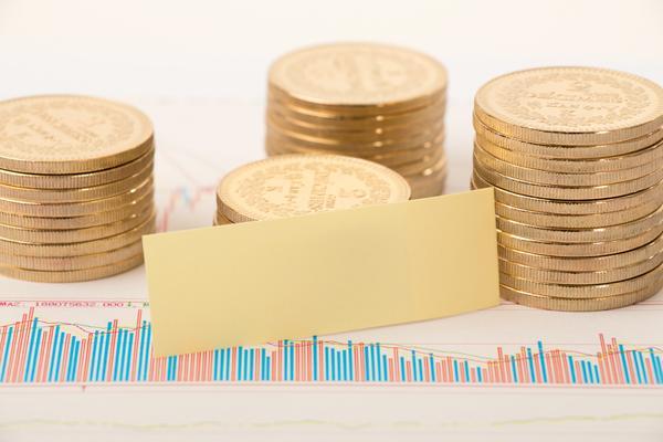 非盈利机构资本预算决策方法与融资策略分析 图1