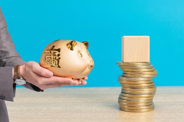 公募基金与私募基金的体量差异及其项目融资策略 图2